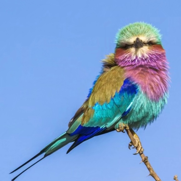 Meet your Posher, C - Picture 2 of 6